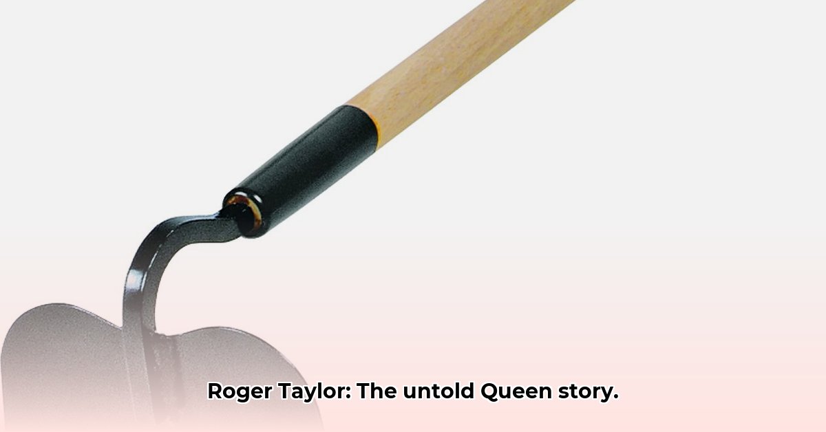 hoe-heet-de-drummer-van-queen